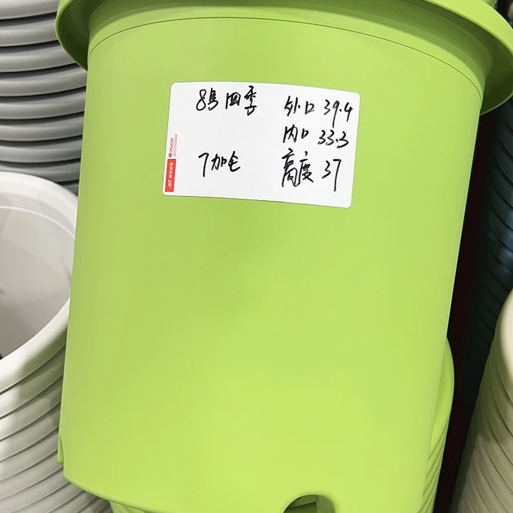 特价8号四季口39.4高37果绿无托3只