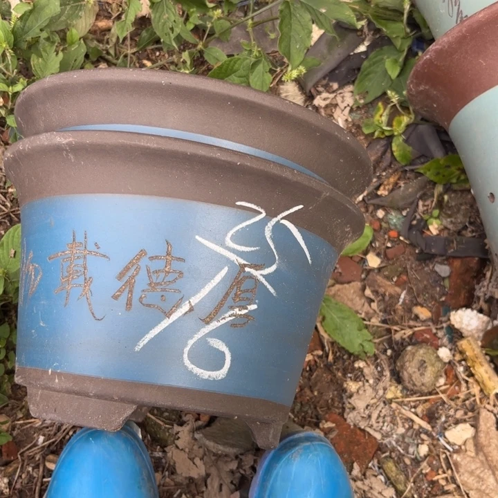 紫砂花盆紫砂的颜色