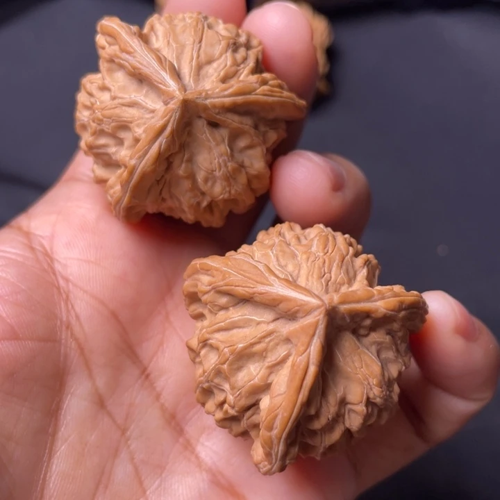 核桃39三棱。