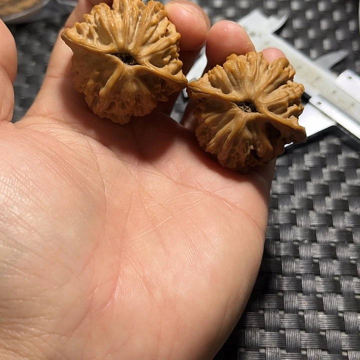 文玩核桃把件天地