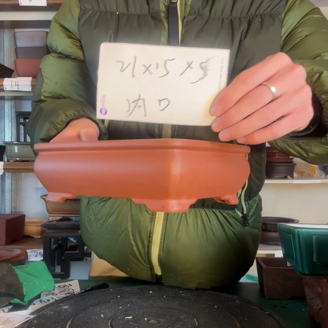 会突然方法体育局干干停停