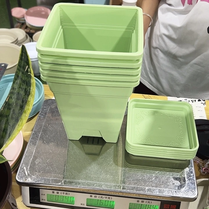 正品方盆口16高18果绿带托5只