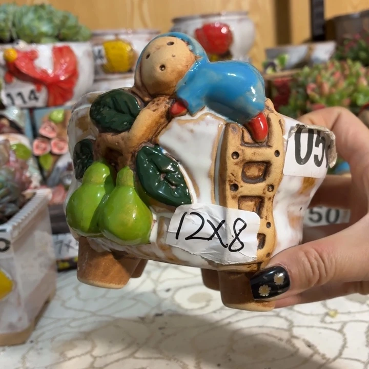 多肉花盆满15包邮爱退款拉黑