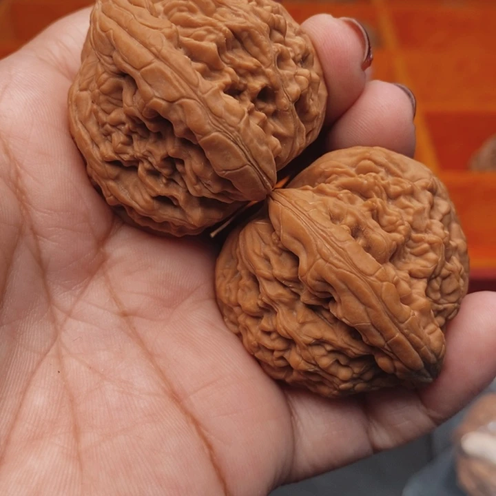 核桃虎头王43尺核桃