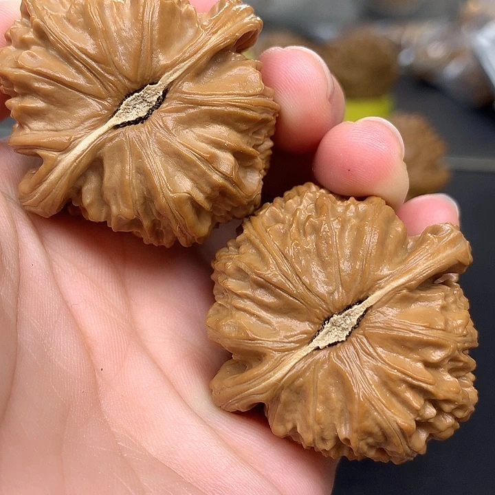 吊坠文玩核桃43白狮子