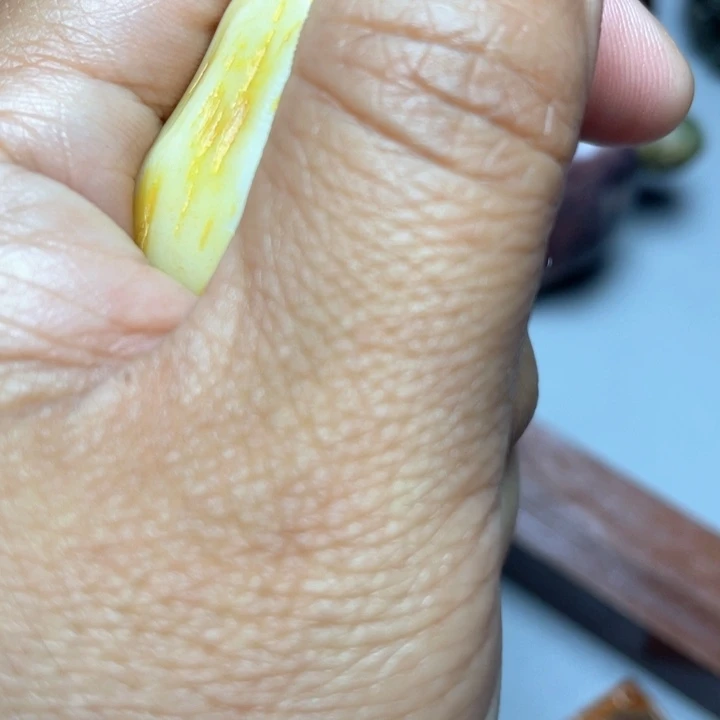 大果紫檀（缅甸花梨）