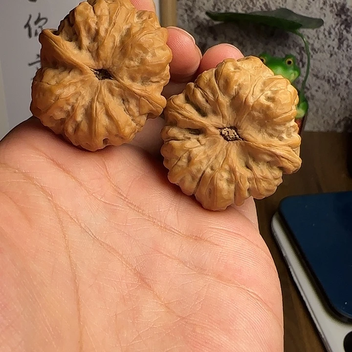 克***尔40尺红皮蛤蟆头11