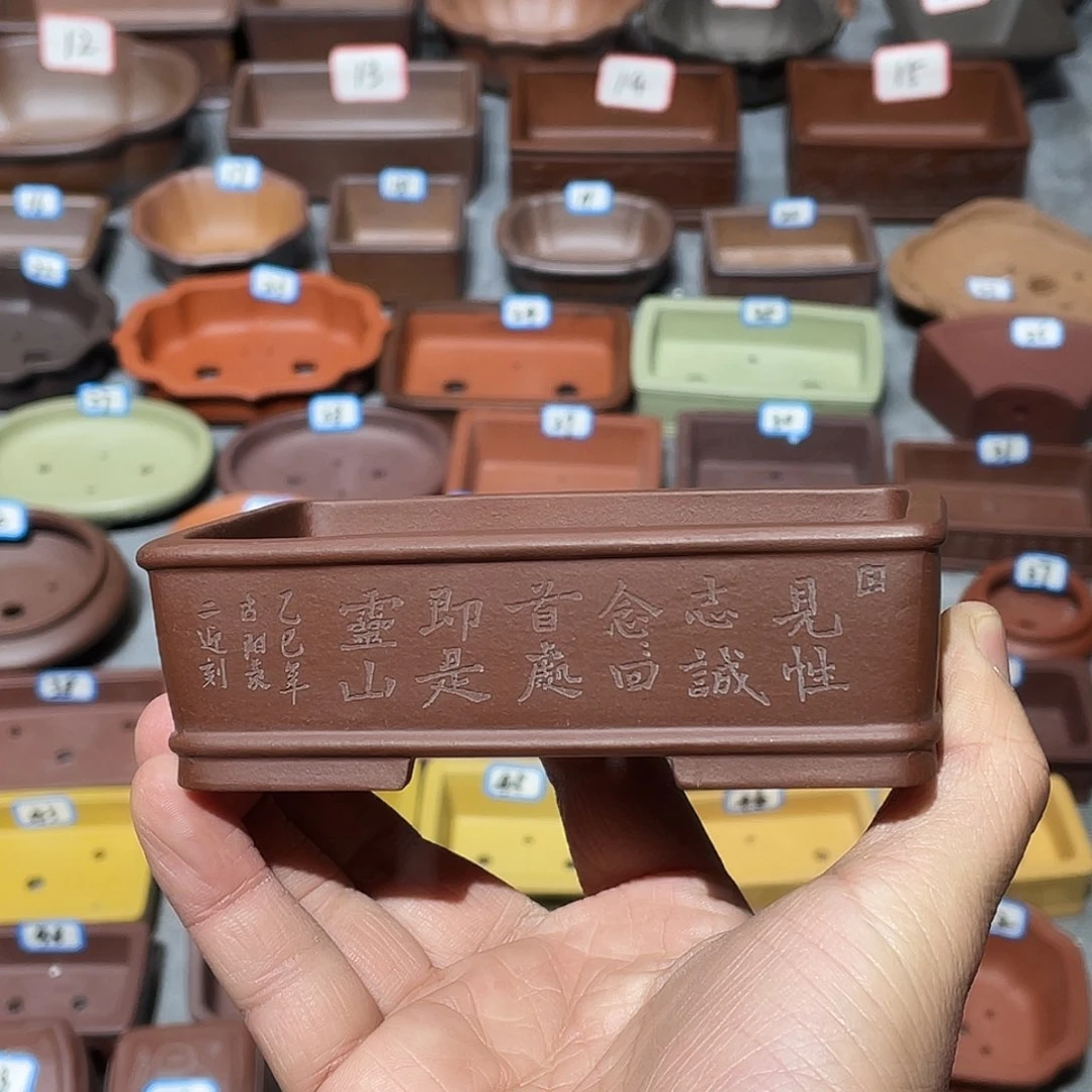 紫砂紫砂小盆10.5*6.5