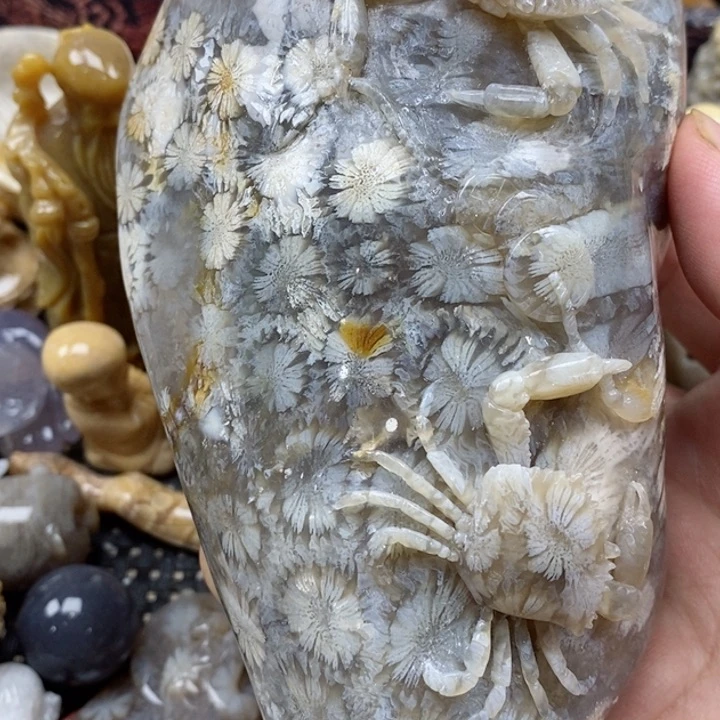 颈饰未镶嵌硅化珊瑚（珊瑚玉）
