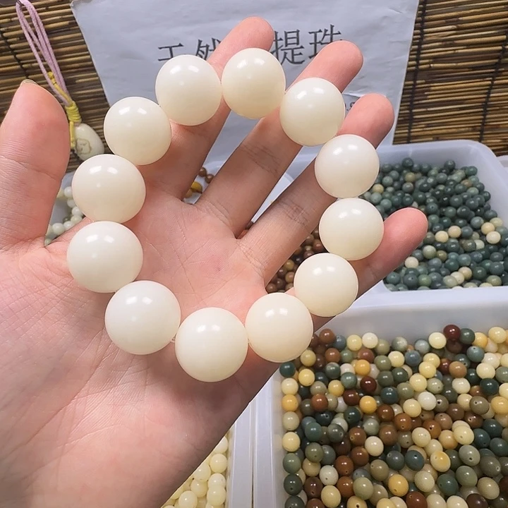 吊坠菩提根/象牙果