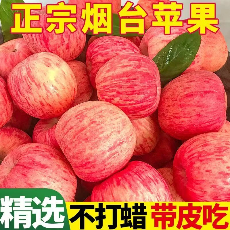 【正宗】山东红富士烟台苹果特级当季新鲜水果脆甜冰糖心整箱批发