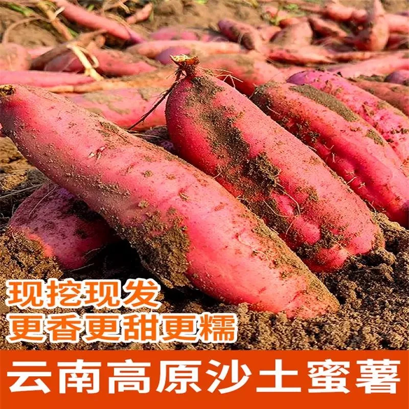 【红薯】云南高原沙土蜜薯软糯香甜