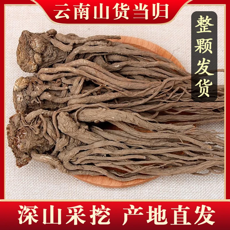 云南山货当归 整棵当归 深山采挖自然晾晒 产地直供