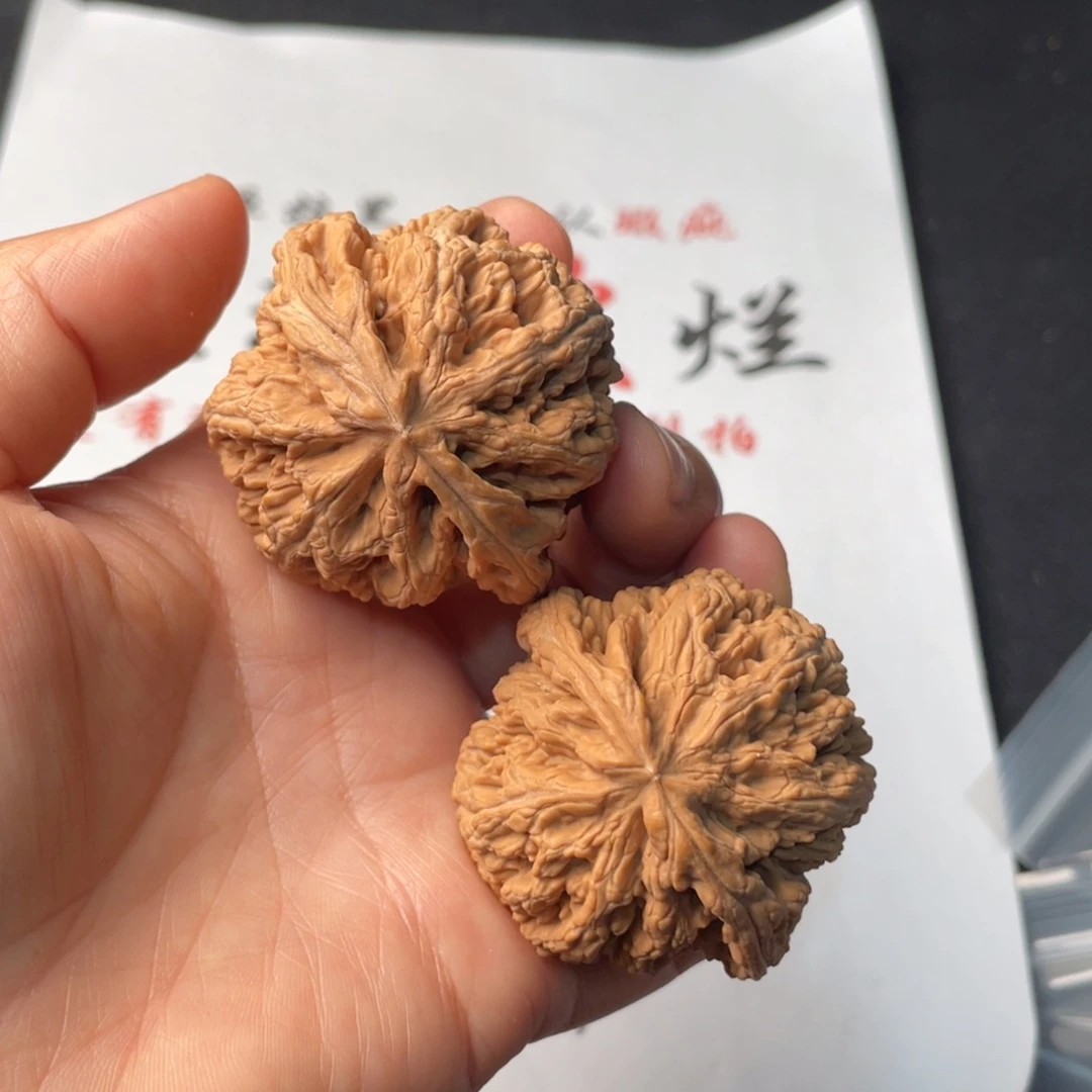 文玩核桃把件951。47粗筋