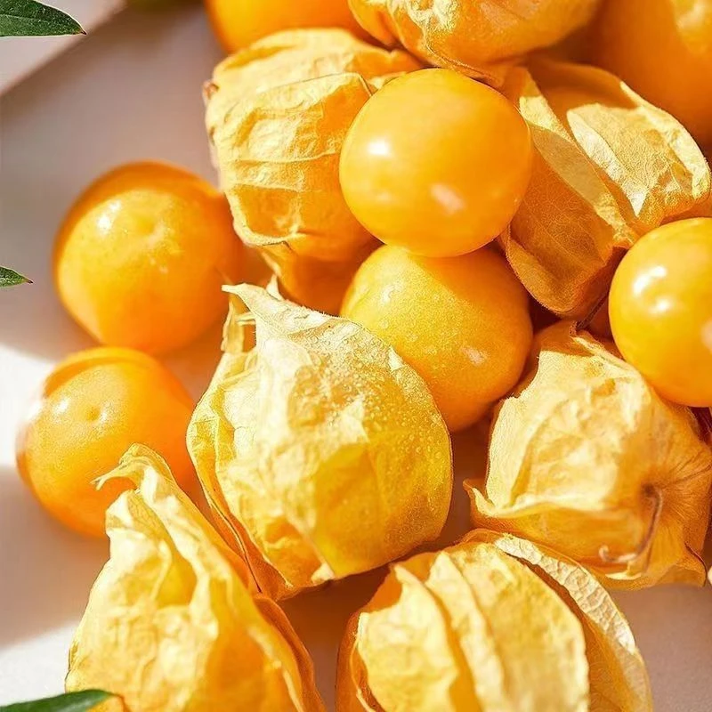 [四平伍阿哥]顺丰空运东北大地菇娘果灯笼果自然成熟全国包邮