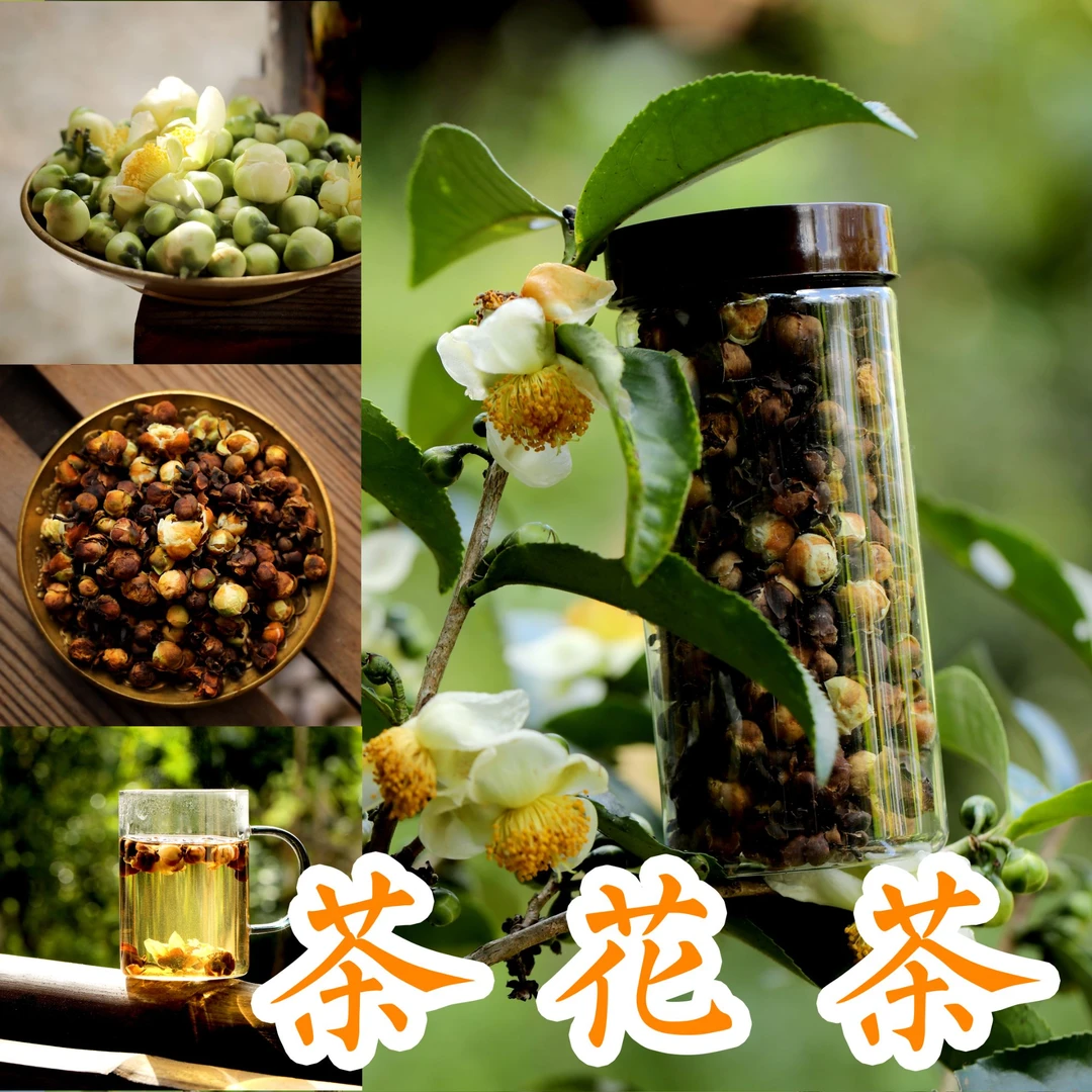 茶花茶[花包茶]景迈山自家茶园手工采摘茶花骨朵花包制