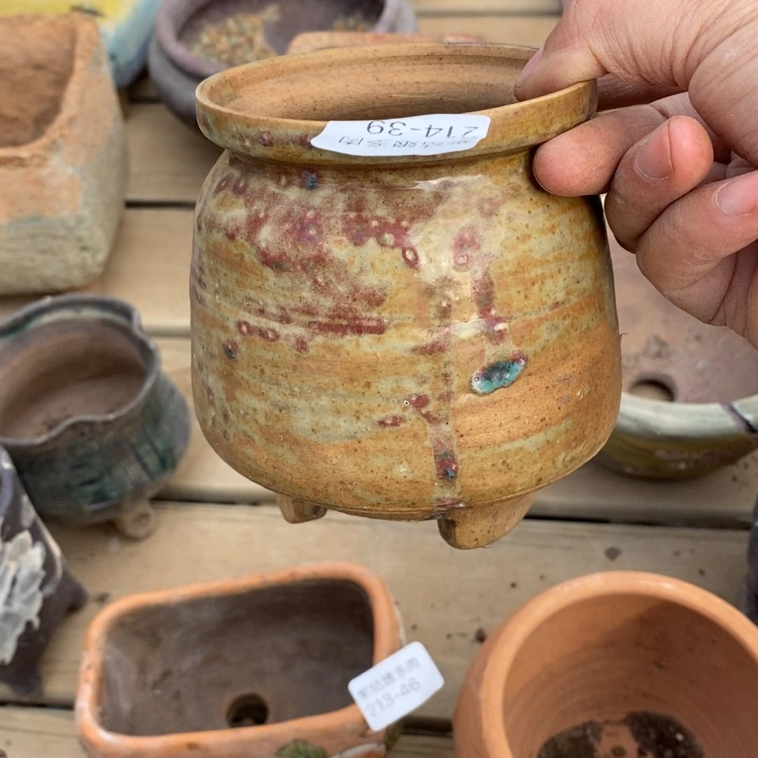 红陶L***李39号多肉盆一个呀