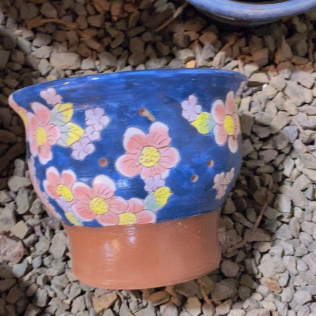 哇哇哇哇哇哇刚刚