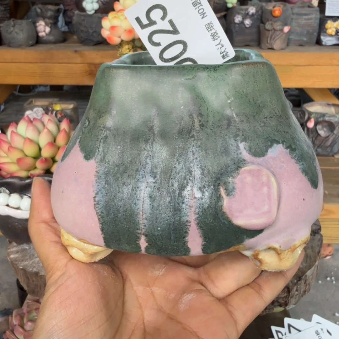 重庆小燕子欢迎大家025