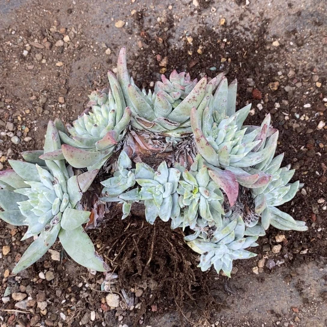 M**闵1979哈哈哈哈哈哈哈哈