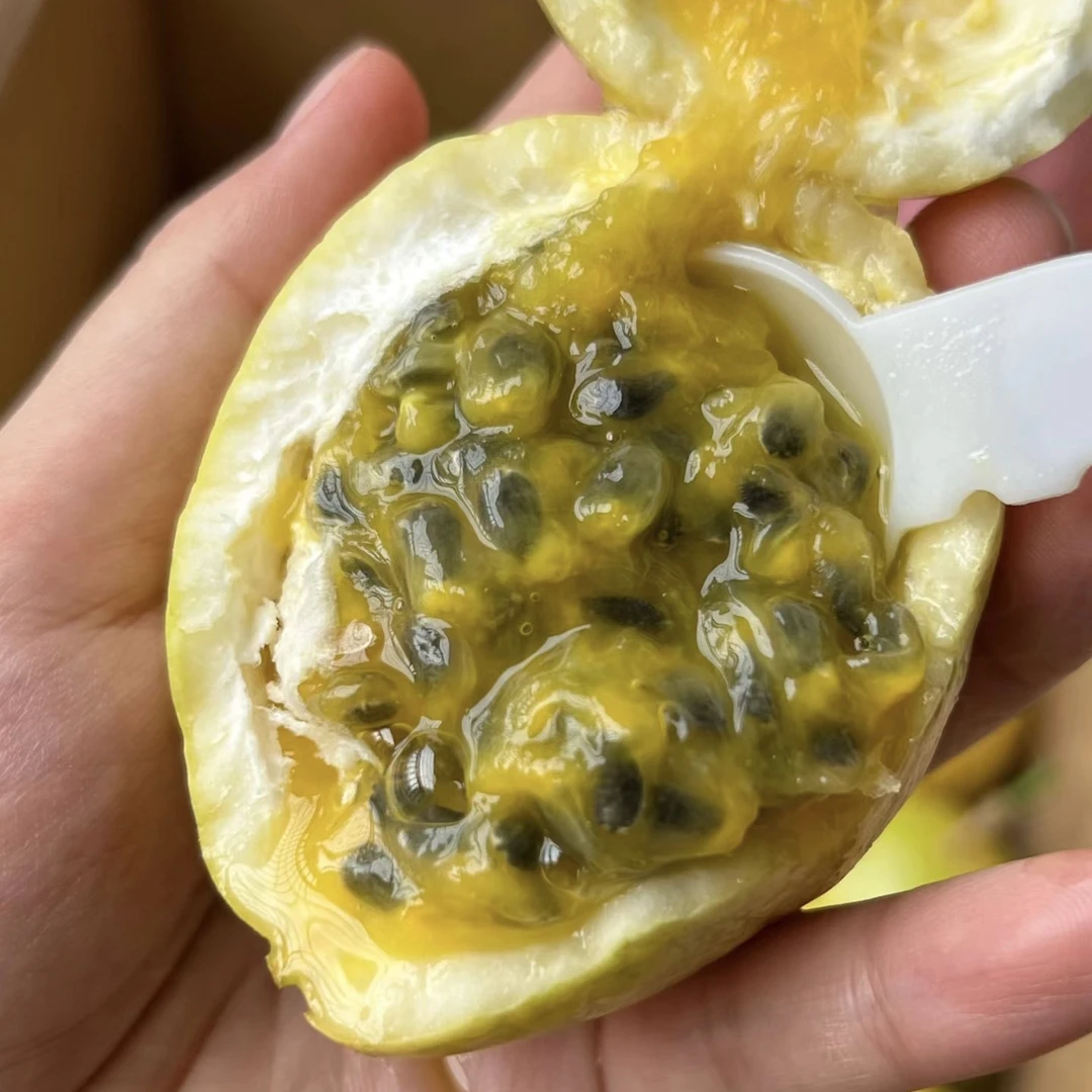 钦蜜9号百香果一盒7粒大果550g