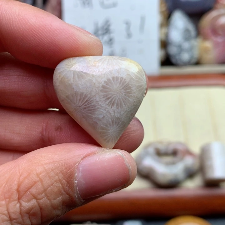 硅化珊瑚（珊瑚玉）颈饰未镶嵌