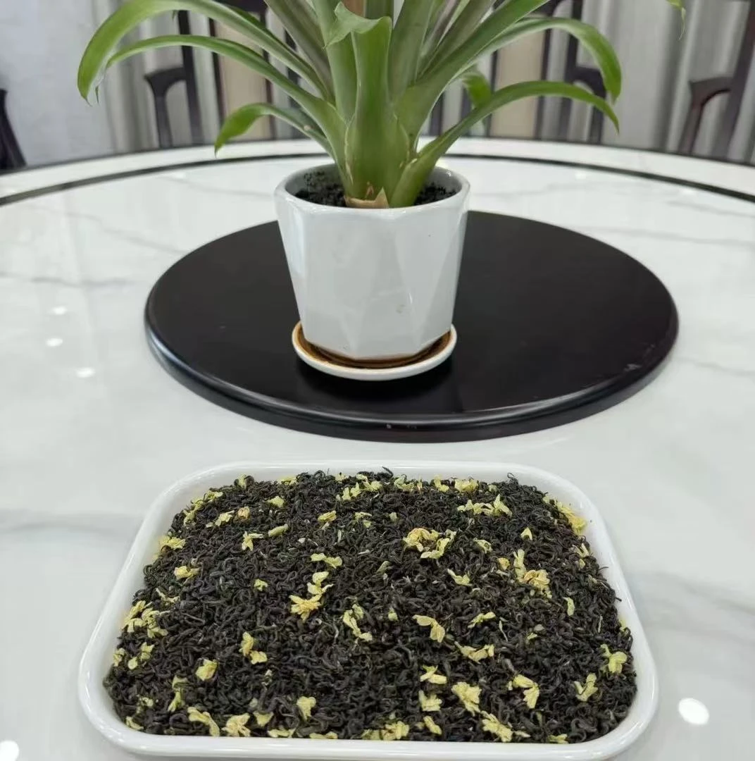 马阳茗茶2025茉莉花茶茉莉飘雪浓香型