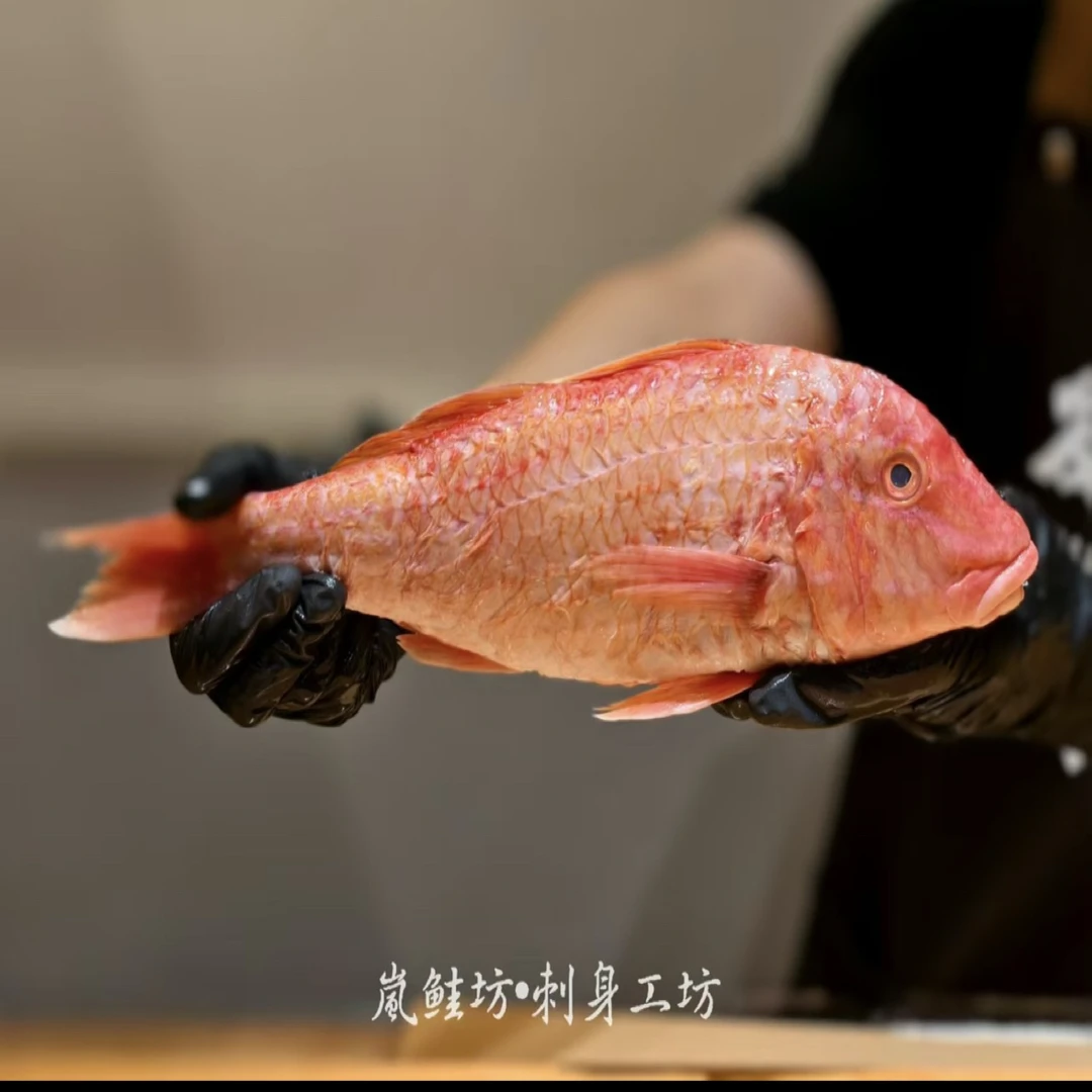 【找一品】汕尾本港深海野生 三须公 海鲤鱼 肉质细嫩紧实