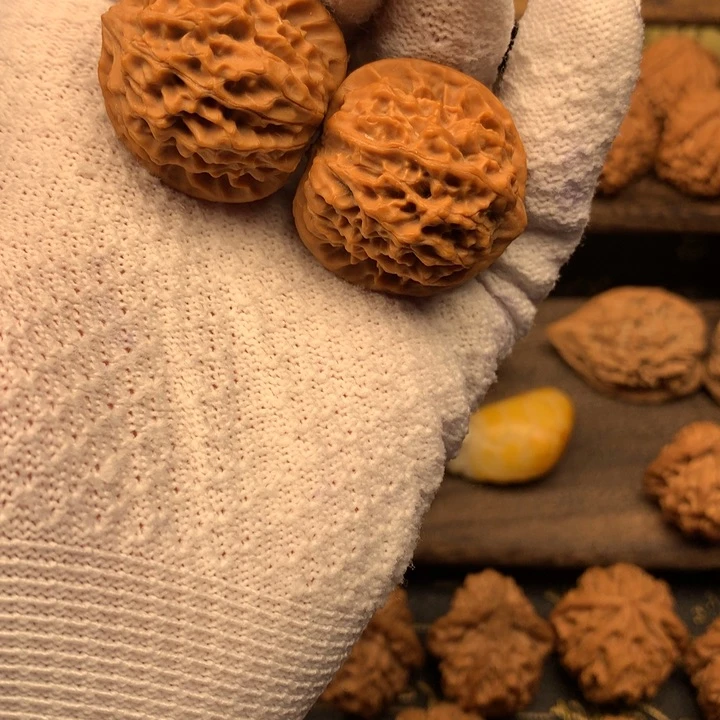 装*34尺秦岭野生小金豆