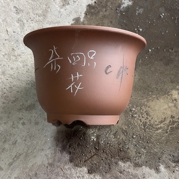 紫砂花盆宜兴紫砂花盆，现货发