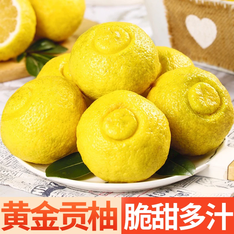 黄金贡柚湖南怀化洪江春香桔柚新鲜水果象山青柑橘小柚子礼盒