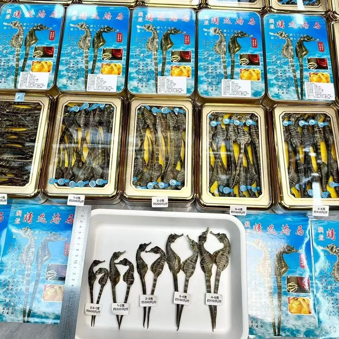 正规朔源码海马鱼干成长腰腰干煲汤滋补养生泡酒材料送礼家庭必备