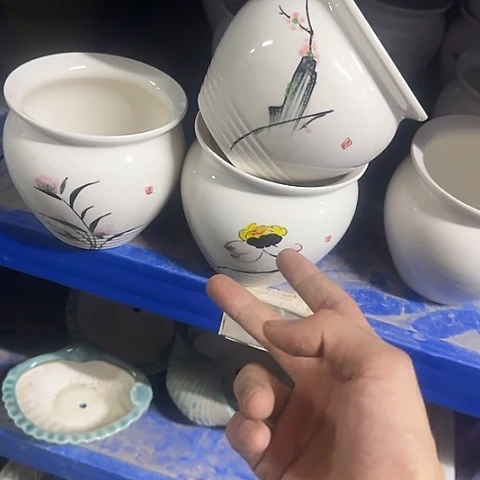··2个处理·······随机2058