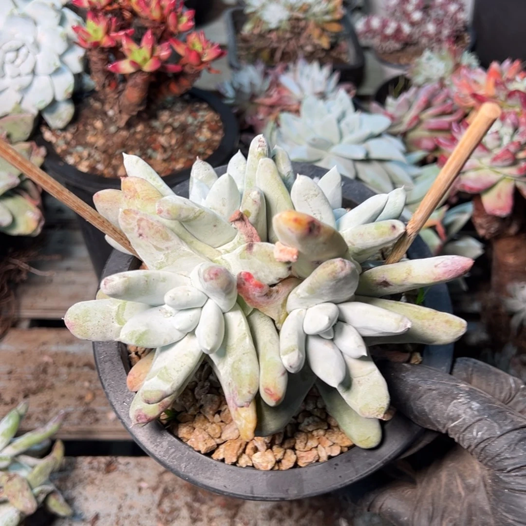 8869哈哈哈哈哈哈哈哈