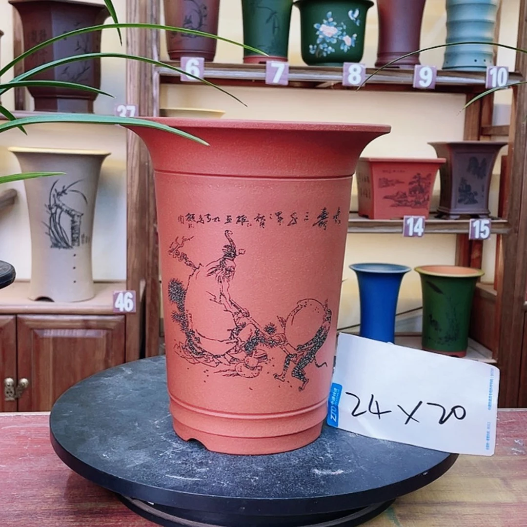 【闪购商品】紫砂花盆兰花455588555665522588