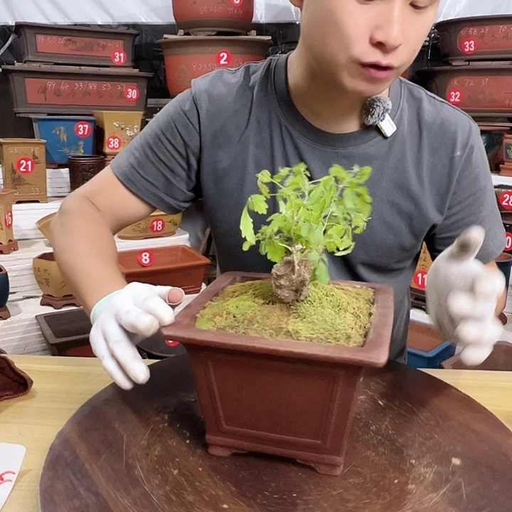 精品紫砂工厂直发