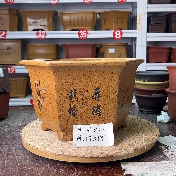 花盆紫砂蛇年大吉
