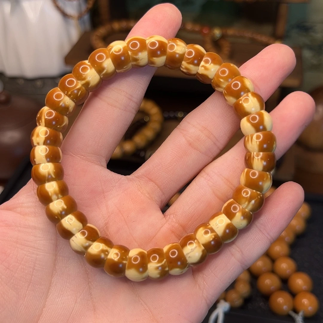 手串菩提根/象牙果