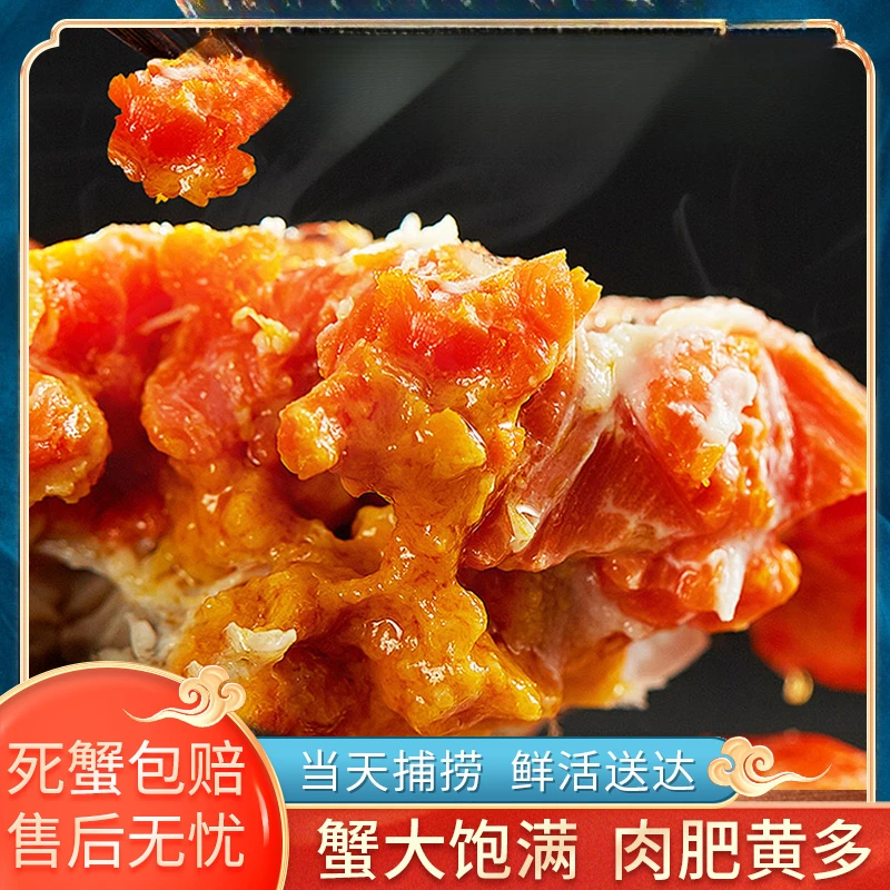 【活蟹】苏州精品大闸蟹全母蟹3.5两 加2只 到手6/8/10只礼盒包邮