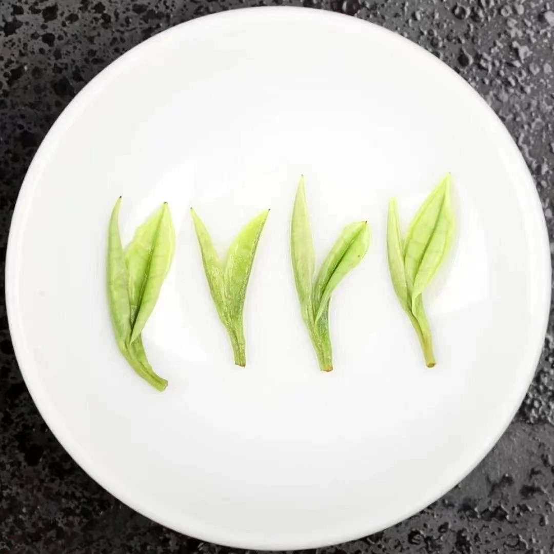 明前白茶浓香兰花香2025年新茶茶叶