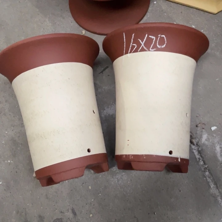 周三周四学生组织