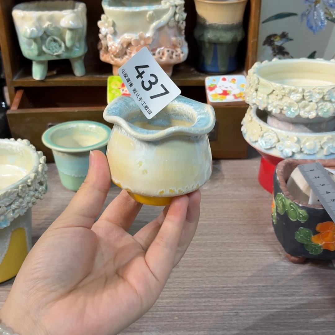 一***夜花盆花盆花盆花盆