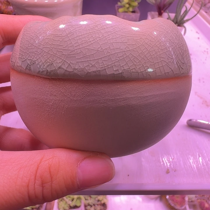 盆29，花边球球盆，冰裂素陶双拼色八角盆，多肉盆闲置处理福利出！