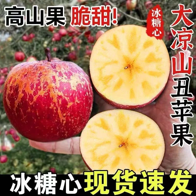 正宗四川凉山盐源糖心丑苹果脆甜多汁新鲜水果（个头偏小）