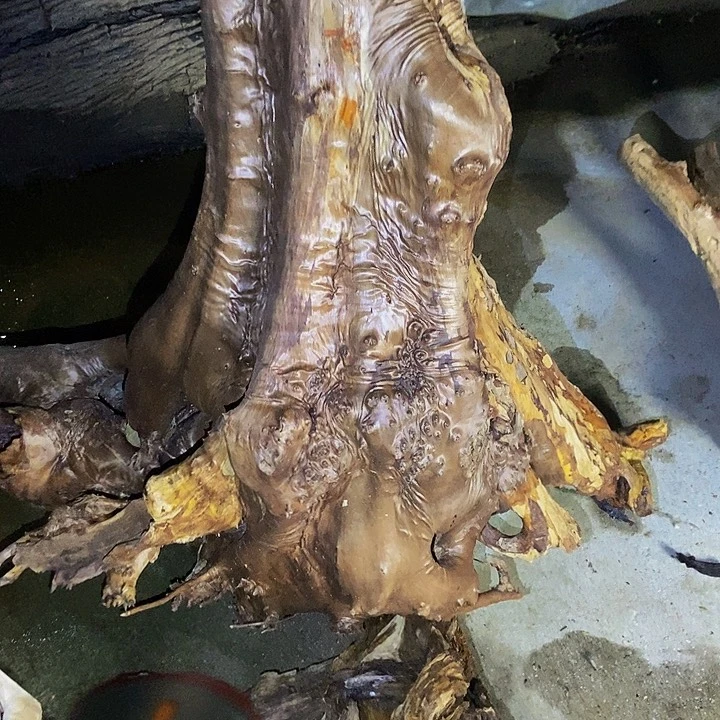 越***福楠木（金丝楠）手串/手链