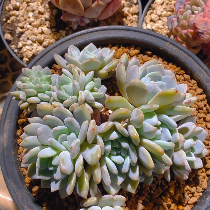 【闪购商品】㒳111111