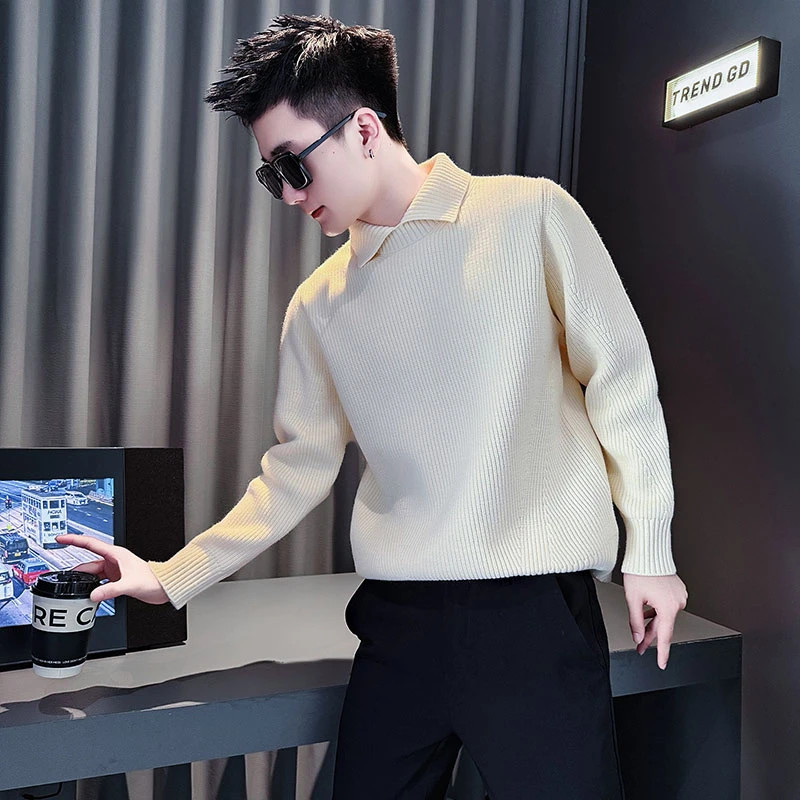 男士毛衣秋冬新款男生衣服高级感男装痞帅上衣翻领长袖打底针织衫