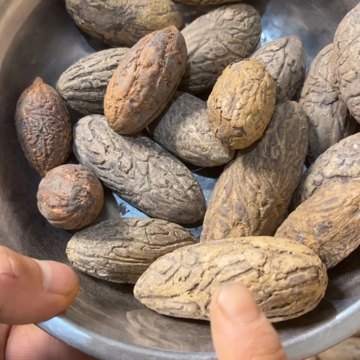 千眼菩提吊坠氢氧菩提一盆79号