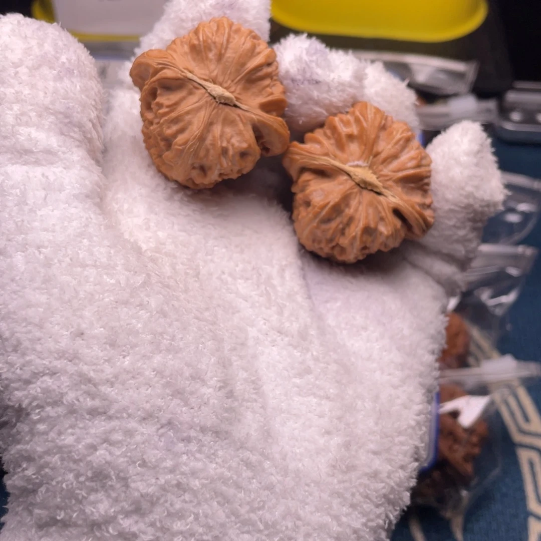 40全品三角白！！！！！！！！！！！