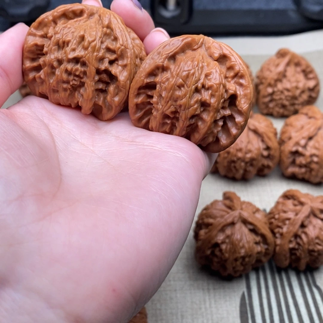 可*°白狮子11112211111